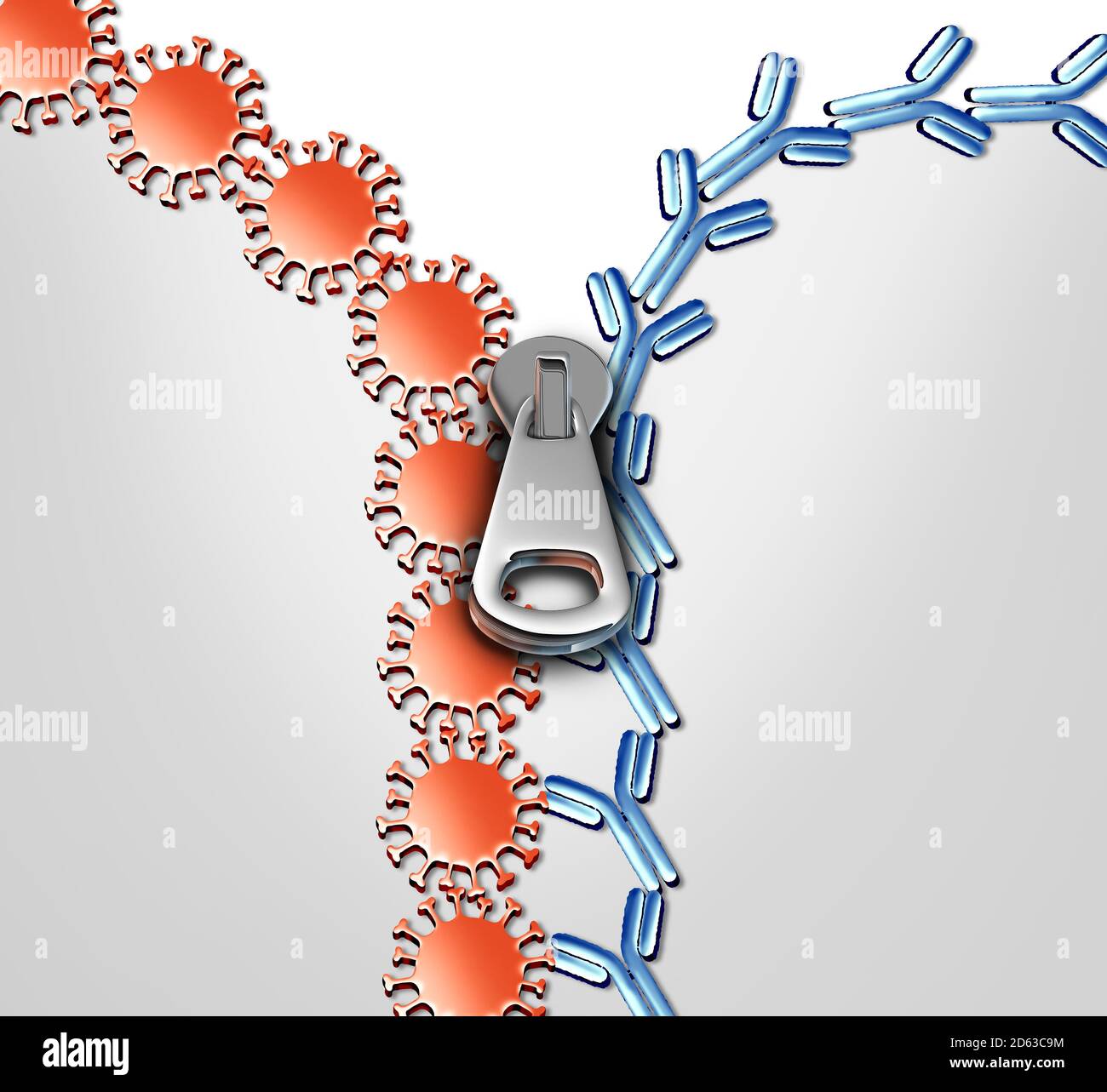 Antibody immune system and Immunoglobulin concept as antibodies
