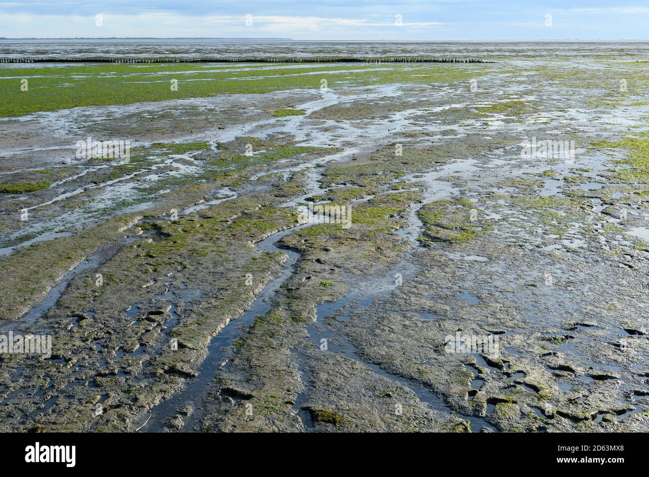 Wadden Sea at low tide on Amrum Island, North Sea, North Frisian Island,  Schleswig-Holstein, Germany Stock Photo - Alamy