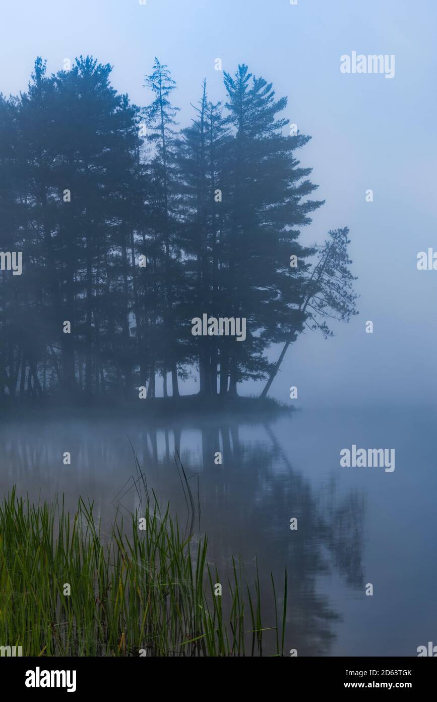 Heavy fog on Red House Lake at dawn, Allegany State Park, Cattaraugus County, New York Stock Photo