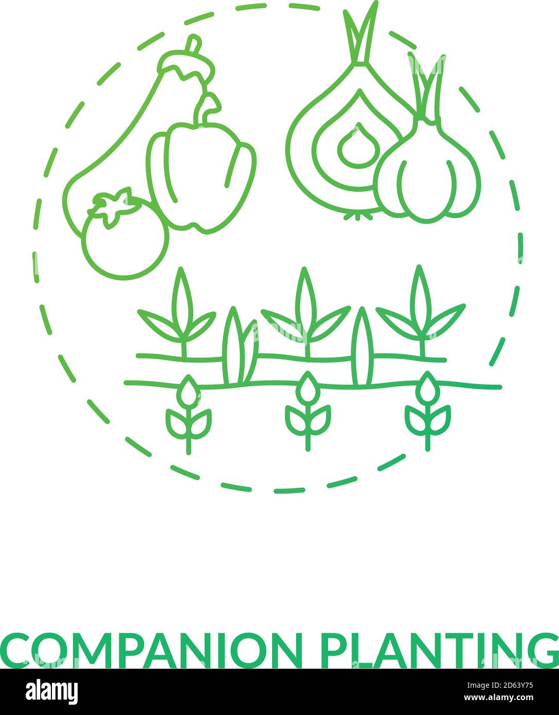 Companion planting concept icon Stock Vector Image & Art - Alamy