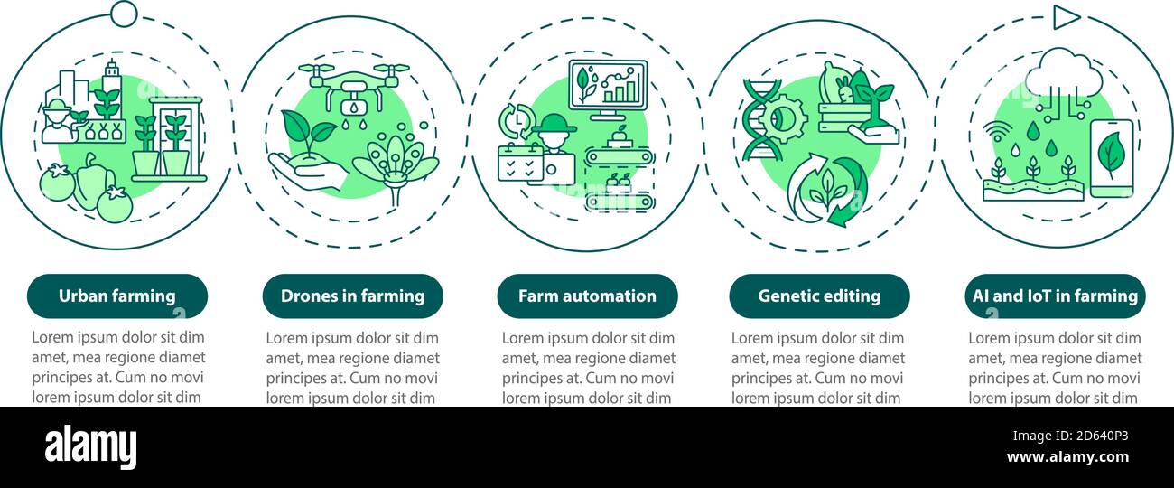 Agriculture innovation vector infographic template Stock Vector