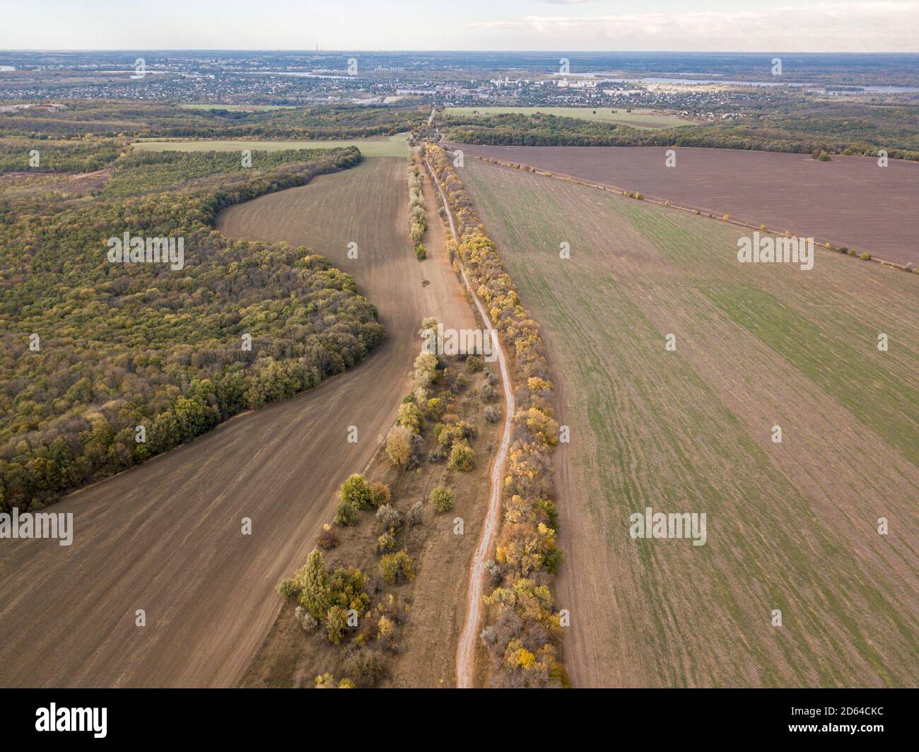 Aerial Photo of a colored forest in autumn Stock Photo - Alamy