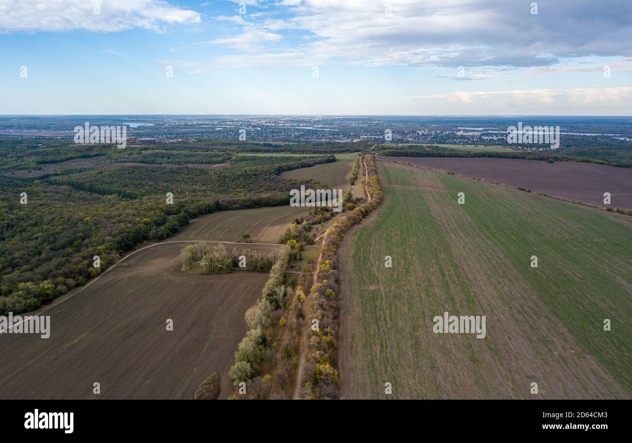 Aerial Photo of a colored forest in autumn Stock Photo - Alamy