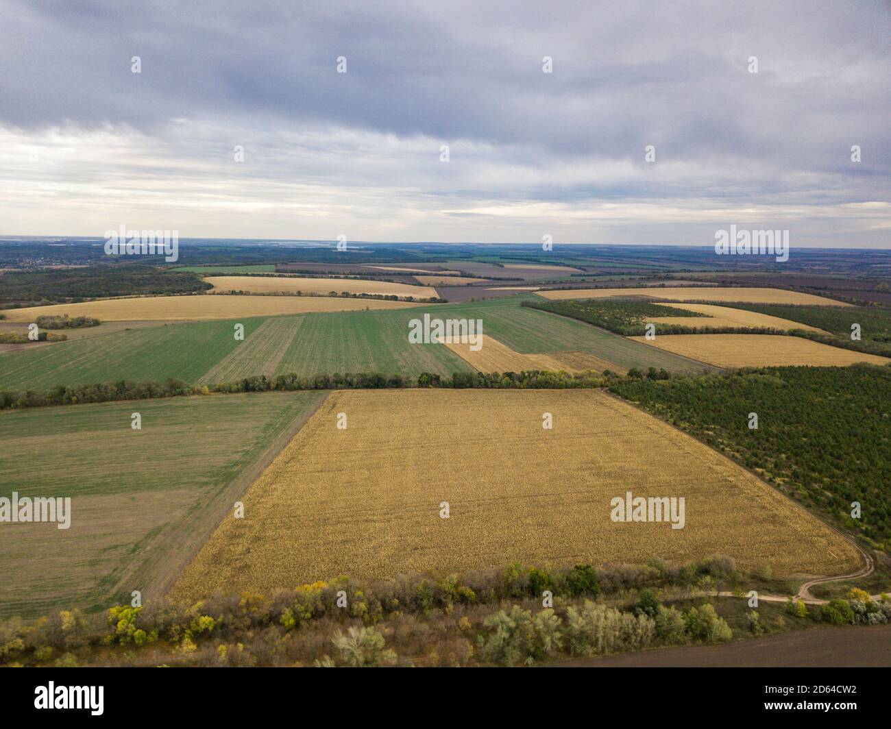 Aerial photo autumn leaves hi-res stock photography and images - Alamy