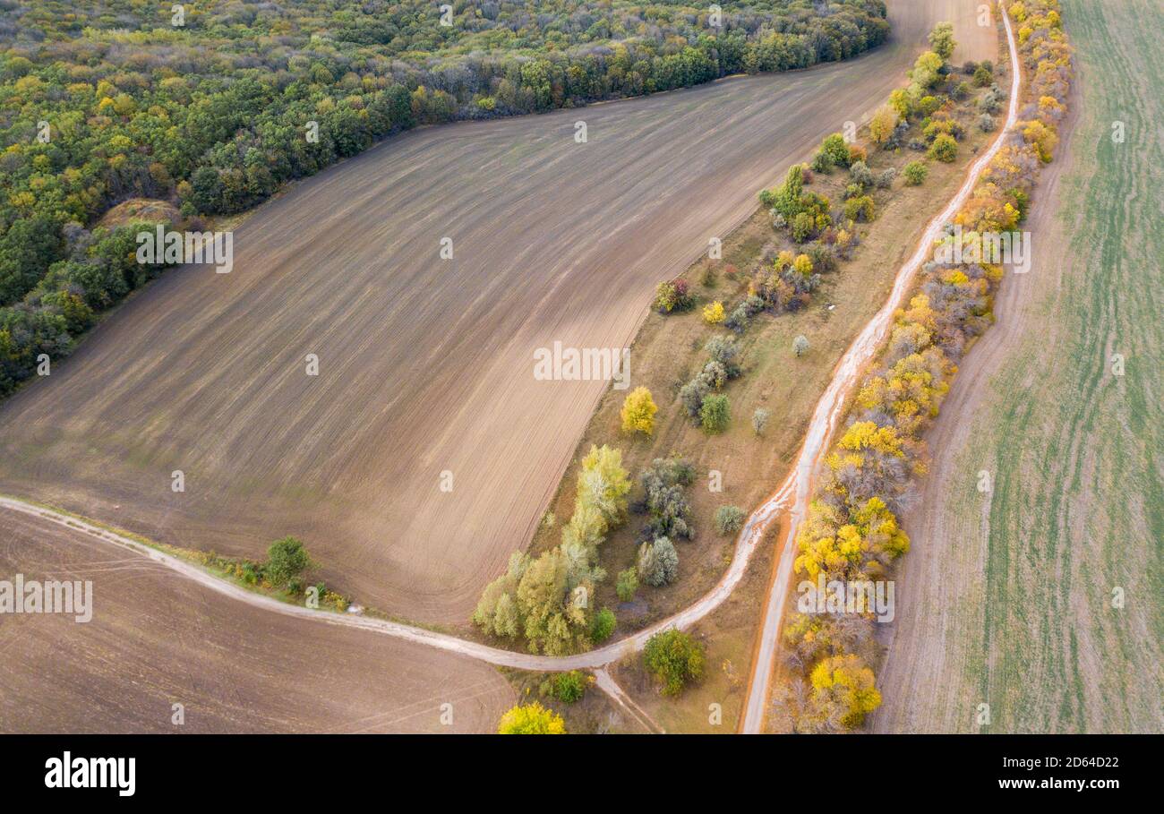 Aerial Photo of a colored forest in autumn Stock Photo - Alamy