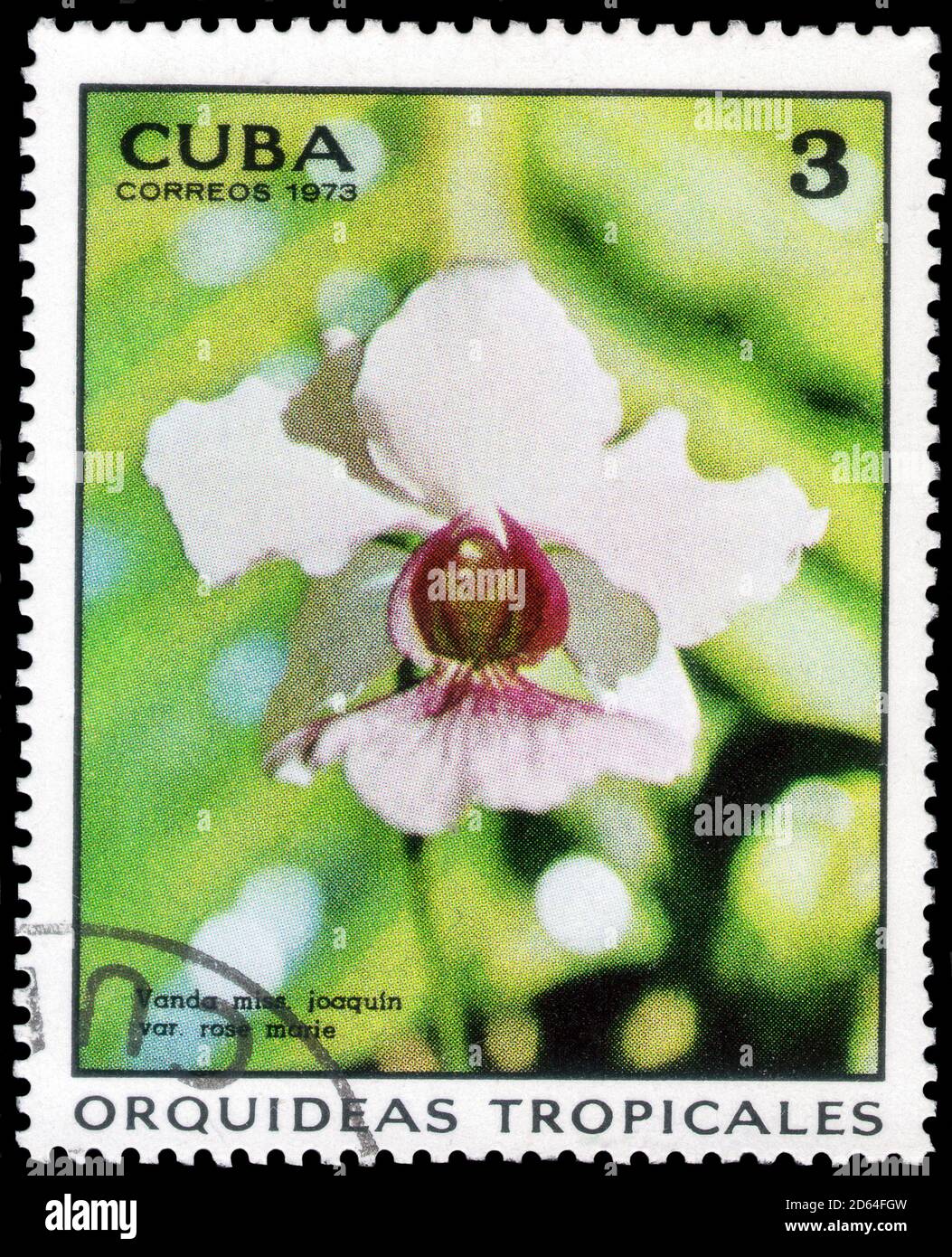 Saint Petersburg, Russia - September 18, 2020: Stamp printed in the Cuba with the image of the Vanda miss Joaquim var. Rose marie, circa 1973 Stock Photo