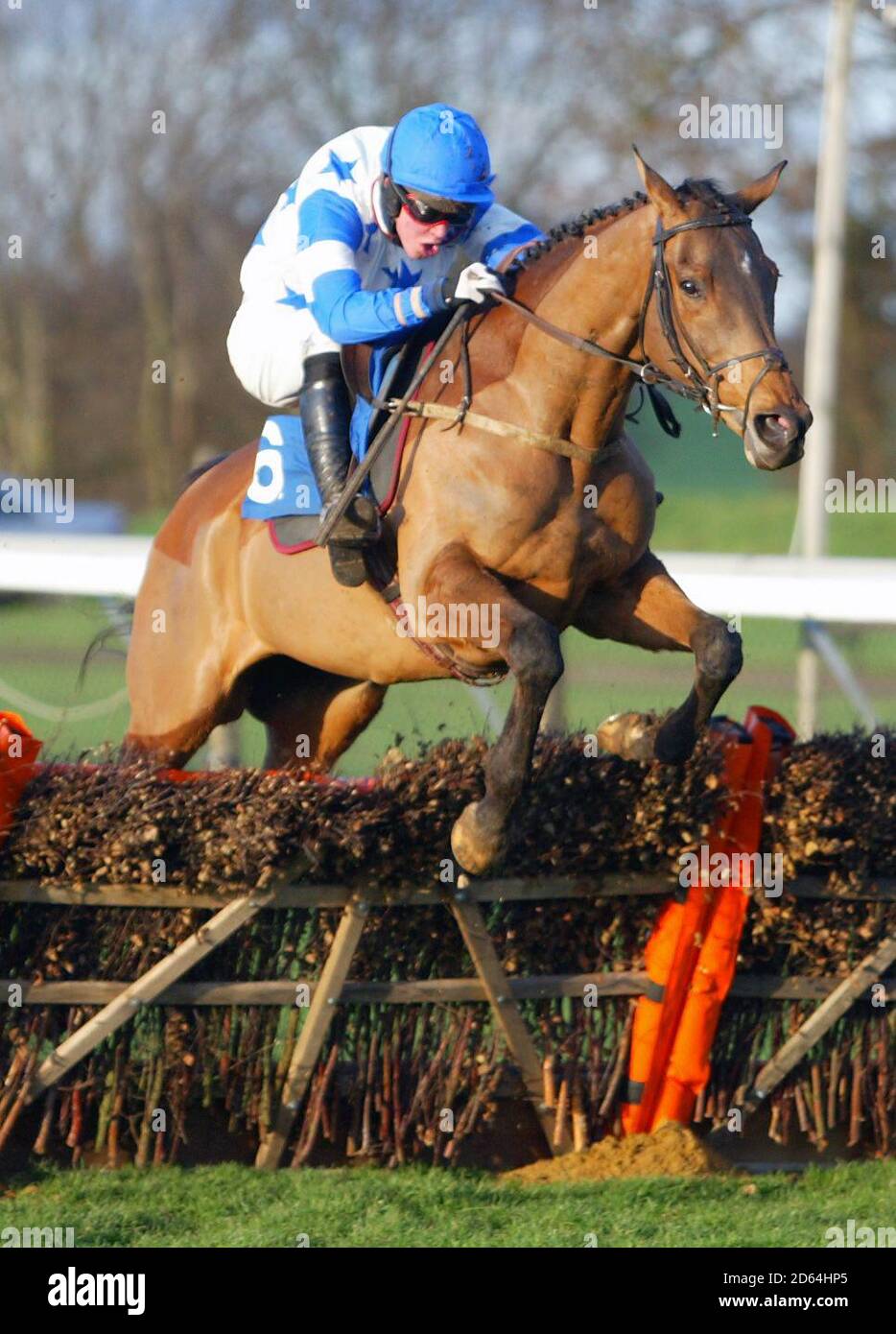 Messenger Horse High Resolution Stock Photography And Images Alamy