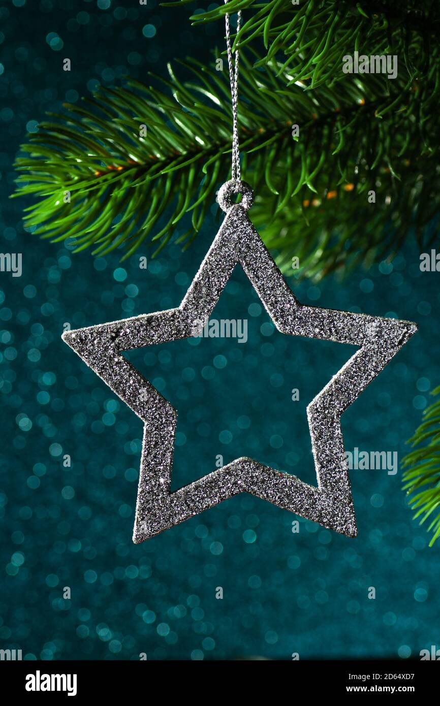 silver star on a Christmas tree branch on a blue shining background ...