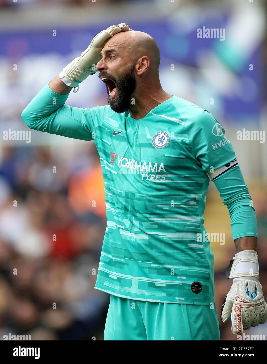 Chelsea goalkeeper Willy Caballero Stock Photo Alamy