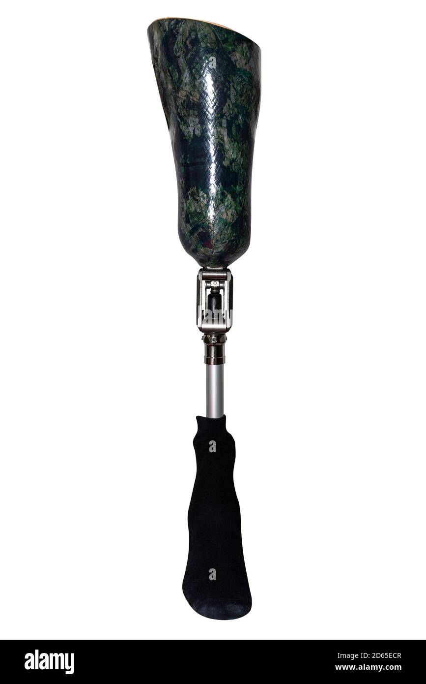 A prosthetic leg with a green leg socket and a black sock, isolated on a white background with a clipping path, front view of the foot. Stock Photo
