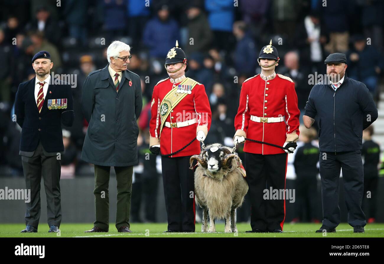 the-mercian-regiment-ram-mascot-on-the-pitch-for-remembrance-day-before