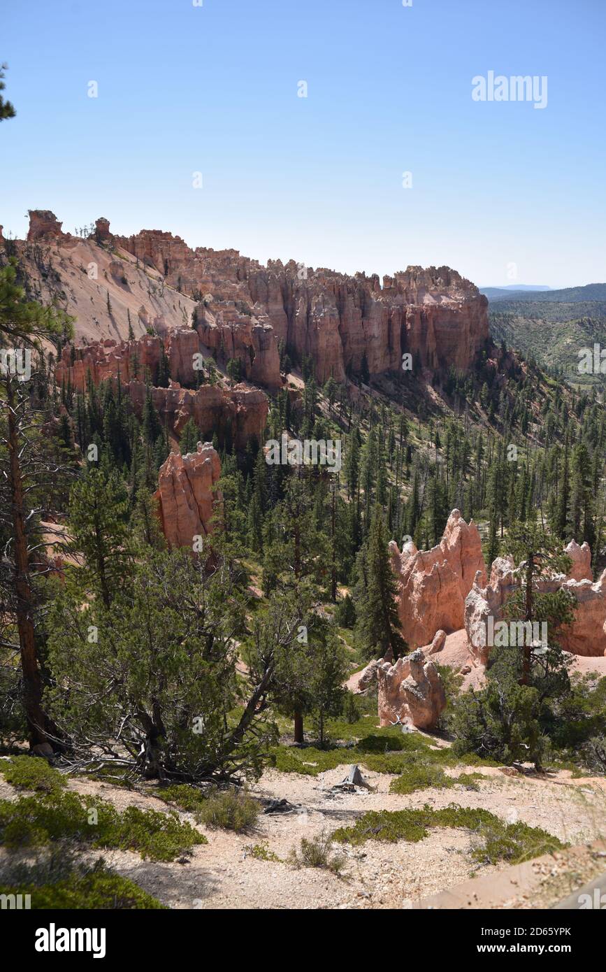 Bryce Canyon National Park, UT., U.S.A. 8/15/2020. Bryce Canyon ...
