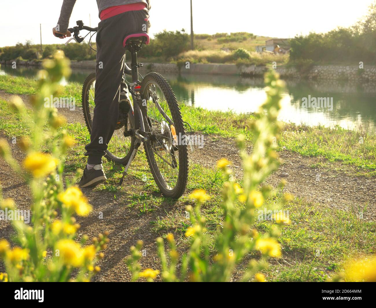 Child biking in the nature along a canal. In the foreground, view on yellow flowers Stock Photo