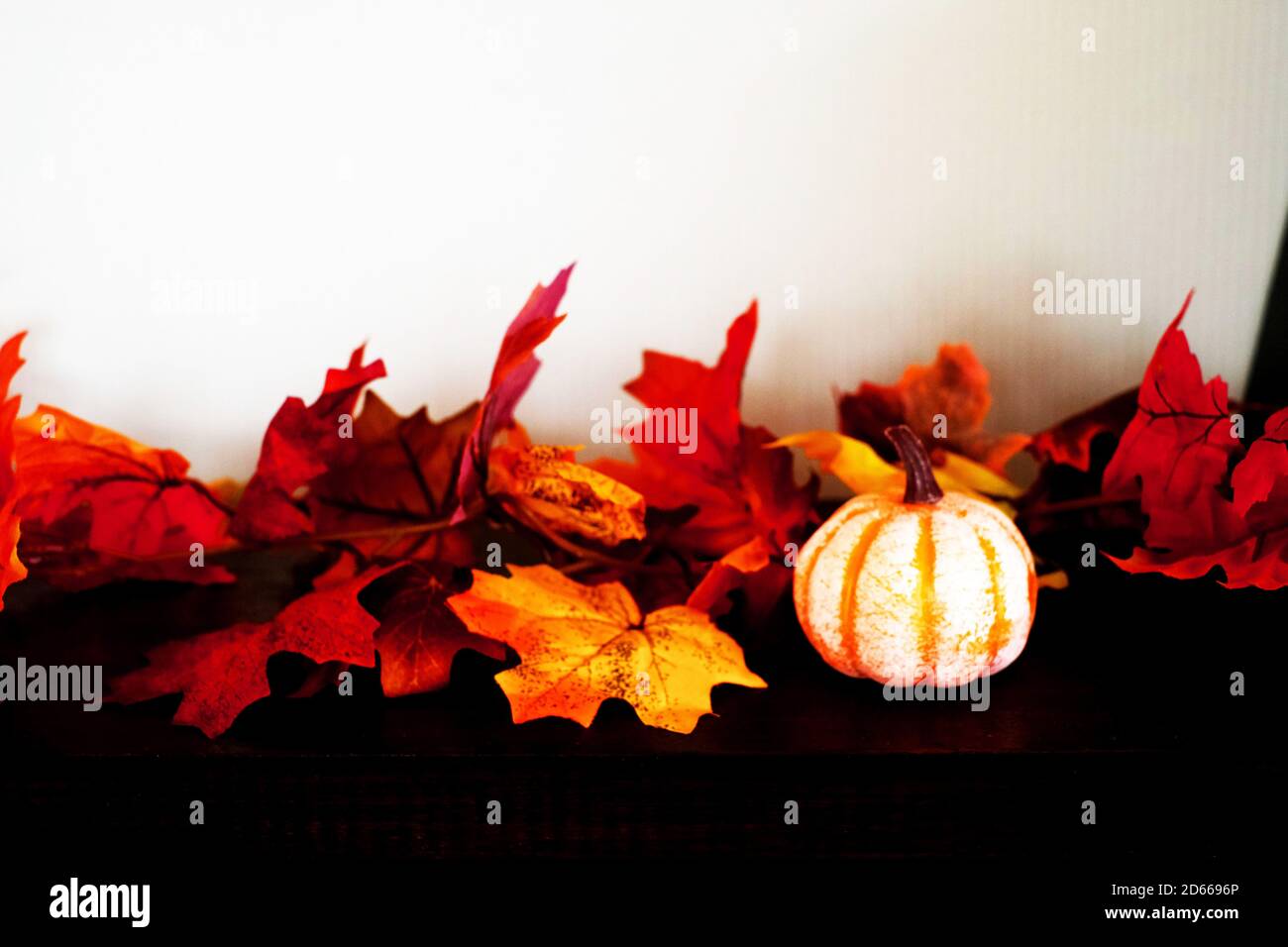 Pumpkin amid dried leaves on white background Stock Photo - Alamy