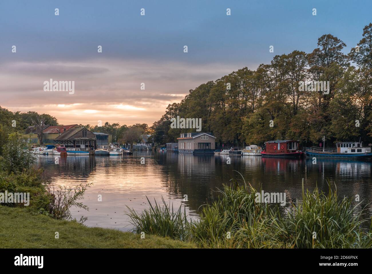 Sunset view across the Thames to boats and houseboats moored at Platt's Eyot island in Hampton West London during autumn 2020, London, England, UK Stock Photo