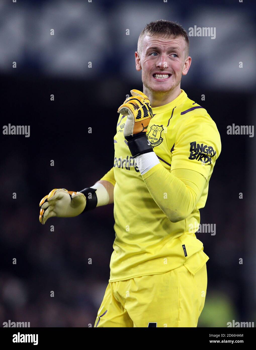 Everton Goalkeeper Jordan Pickford Stock Photo - Alamy