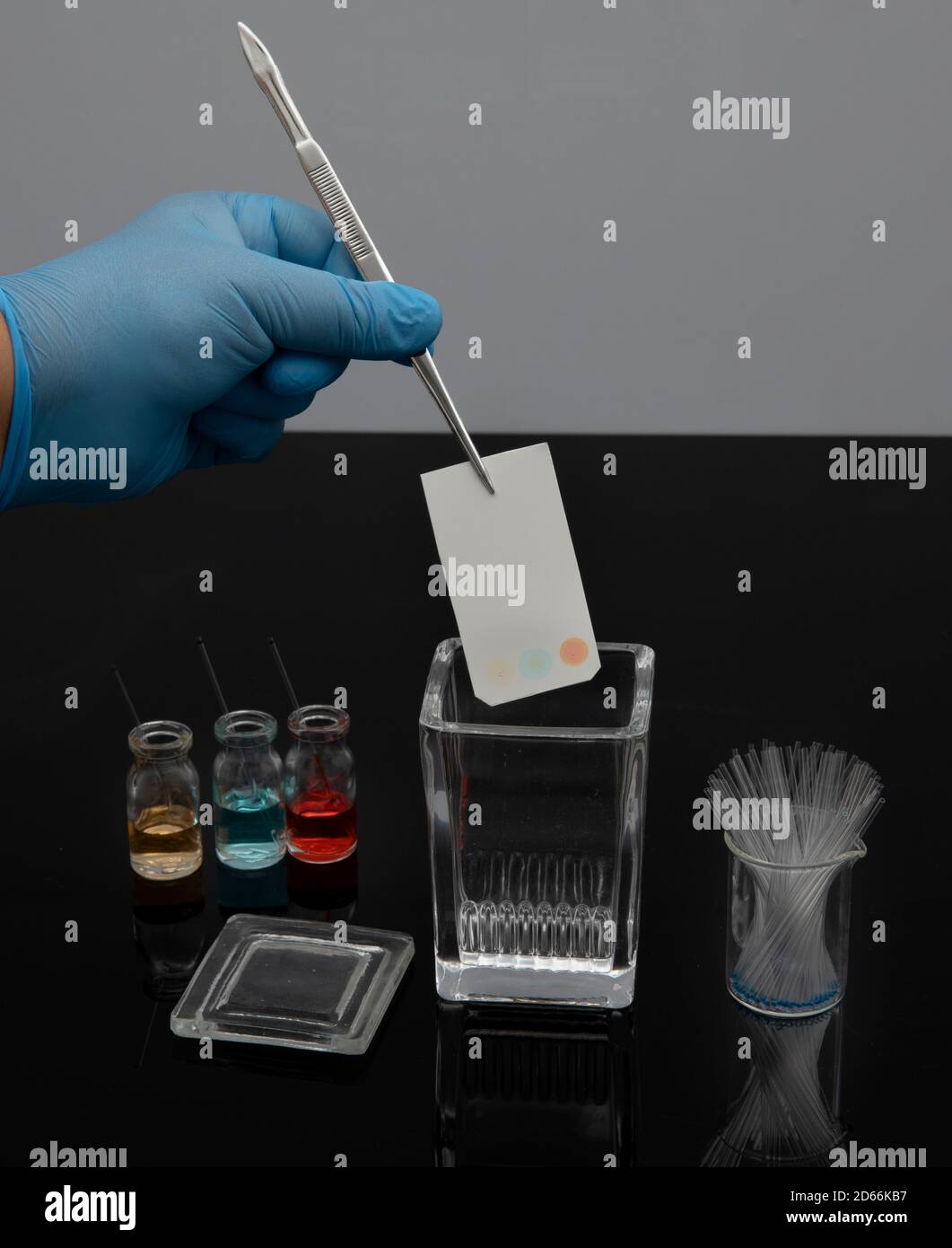 Colorful sample application of thin layer chromatography. The process of  developing samples in the tlc system for analysis of compound's purity  Stock Photo - Alamy