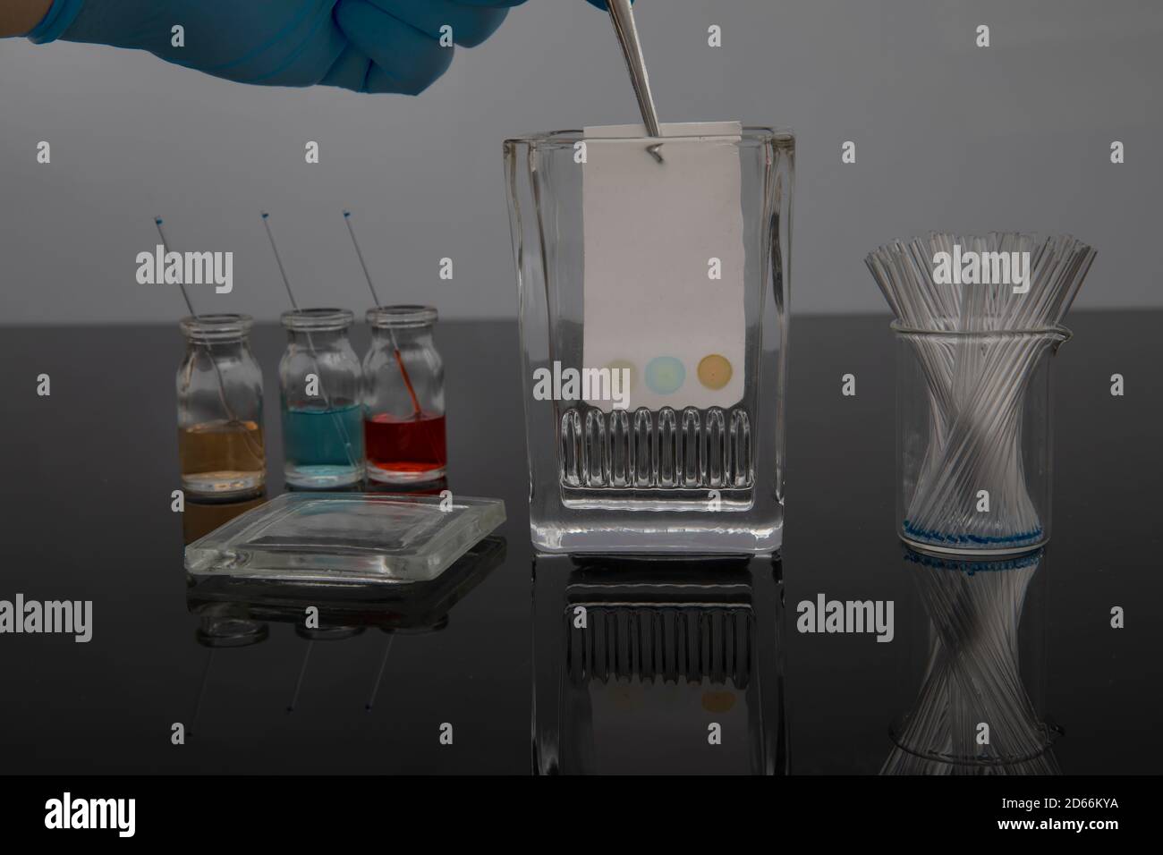 Colorful sample application of thin layer chromatography. The process