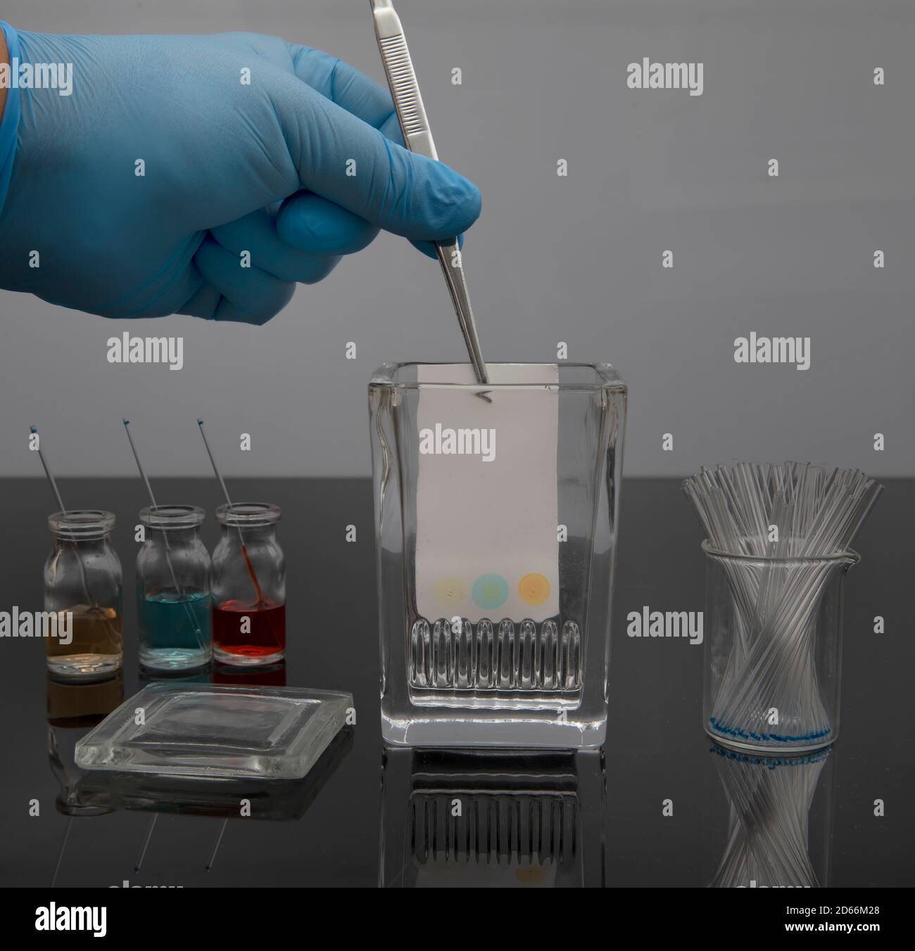 Colorful sample application of thin layer chromatography. The process