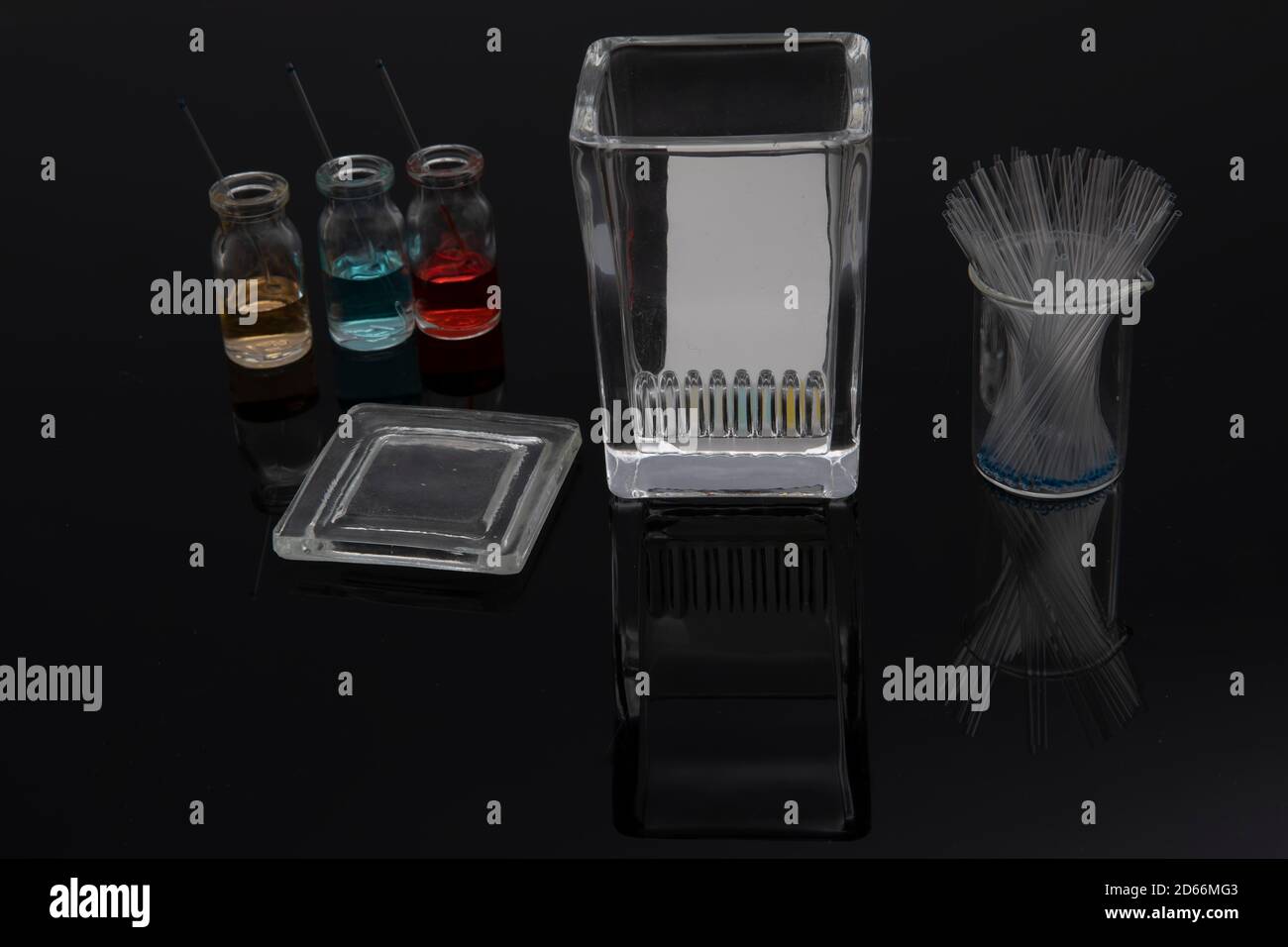 Colorful sample application of thin layer chromatography. The process