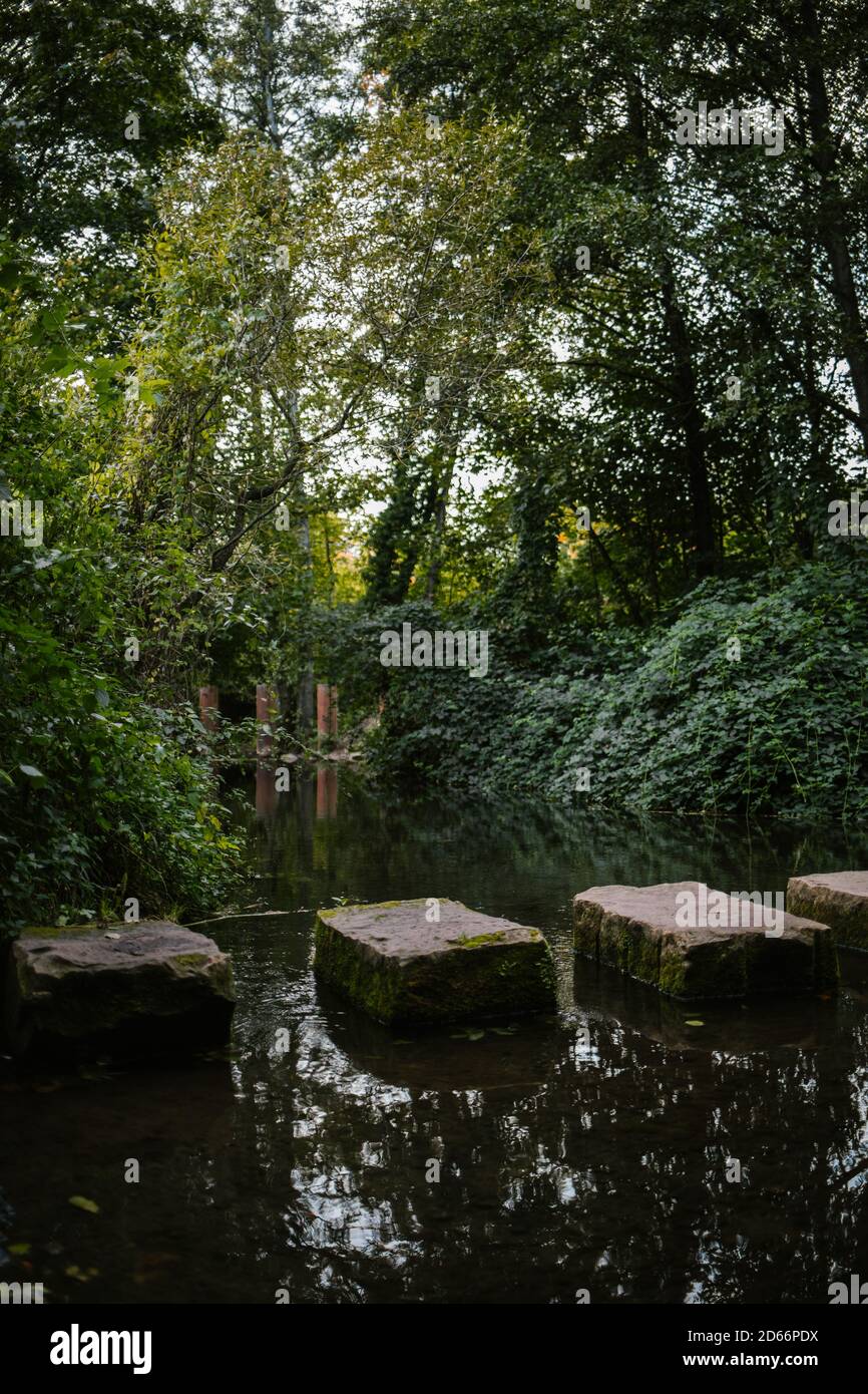 Beautiful shot of a small pond in the forest Stock Photo - Alamy