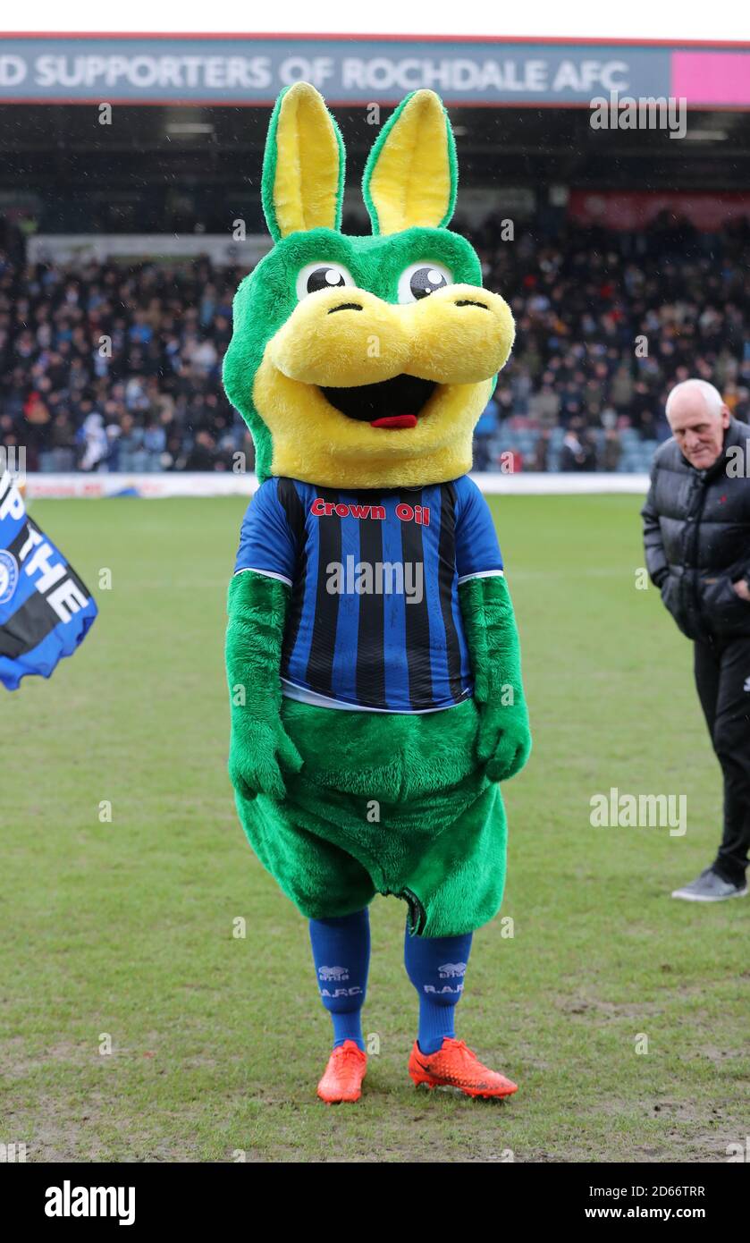 Rochdale mascot Desmond the Dragon before the game Stock Photo Alamy