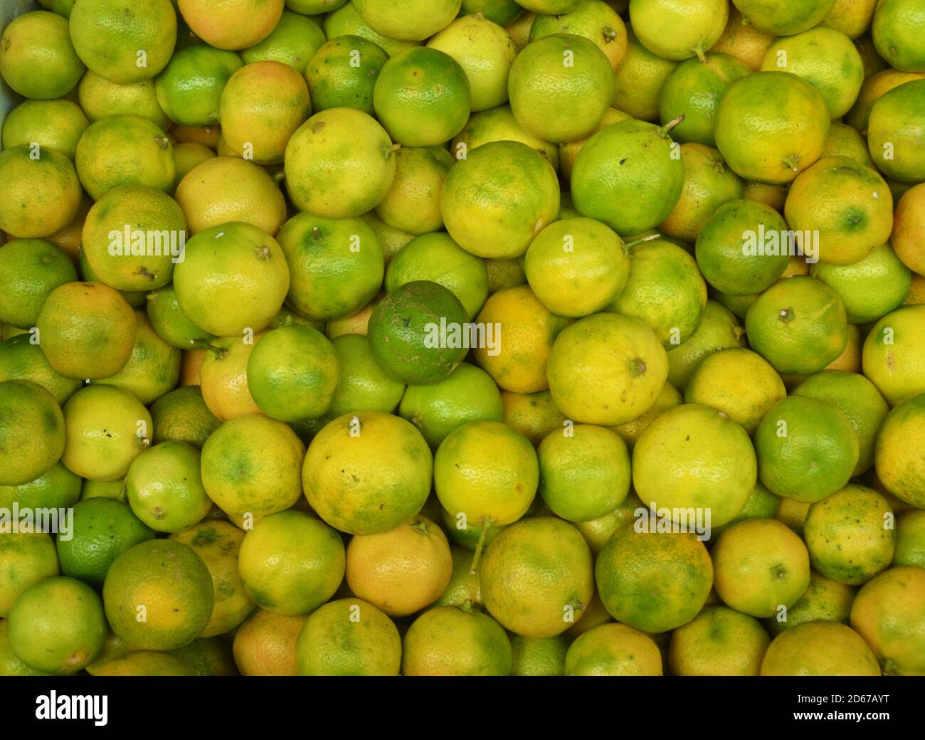 groups of green and yellow oranges for sale in the market Stock Photo