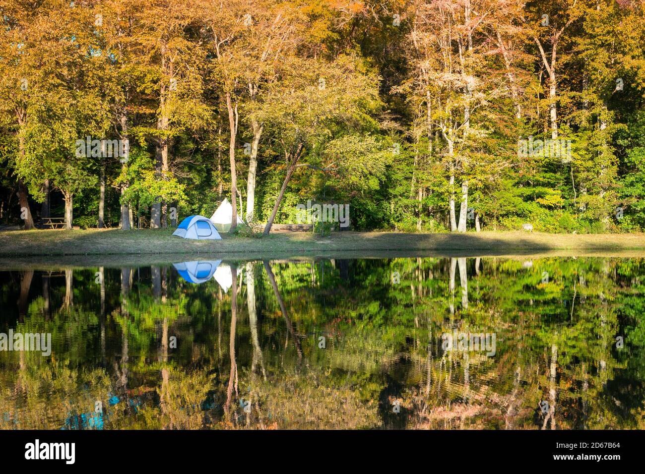 A small campsite by a pond in autumn Stock Photo