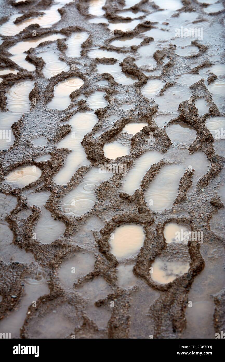 Footprints in the mud, Lake Havasu City, Arizona Stock Photo