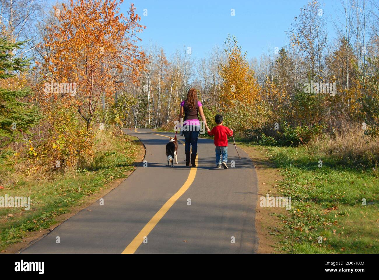 Single mom with son and their border collie going for a walk in fall. Stock Photo