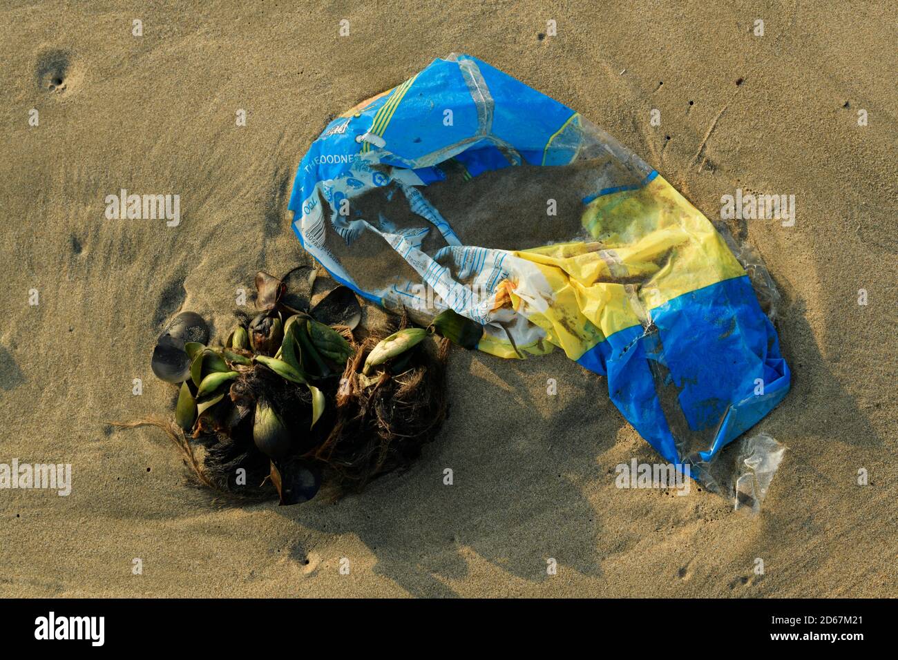 Plastic pollution, empty bread packet washed up on beach, food packaging, Durban, South Africa, waste management, HDPE bag, litter, close up, rubbish Stock Photo