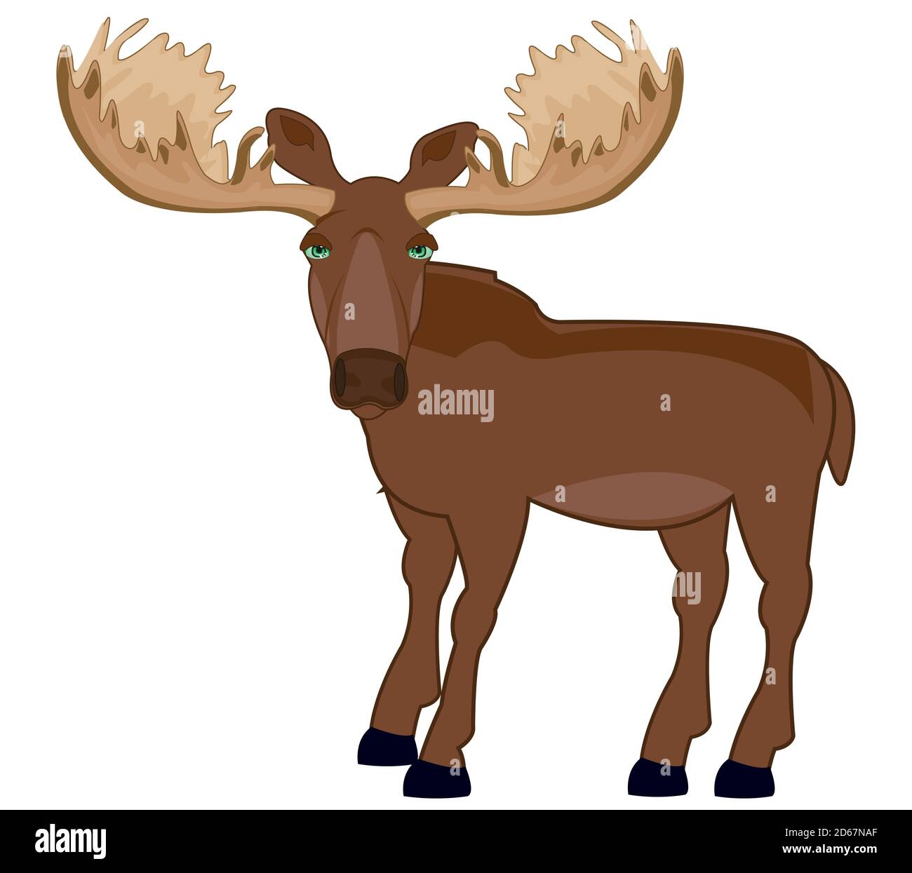 Baby Moose Drawing High Resolution Stock Photography And Images Alamy