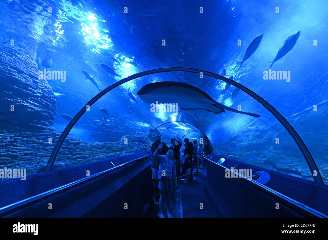 Tourists visiting at walk-through underwater tunnel in AQWA the aquarium  home to about 400 species of Western Australia coastline Stock Photo - Alamy