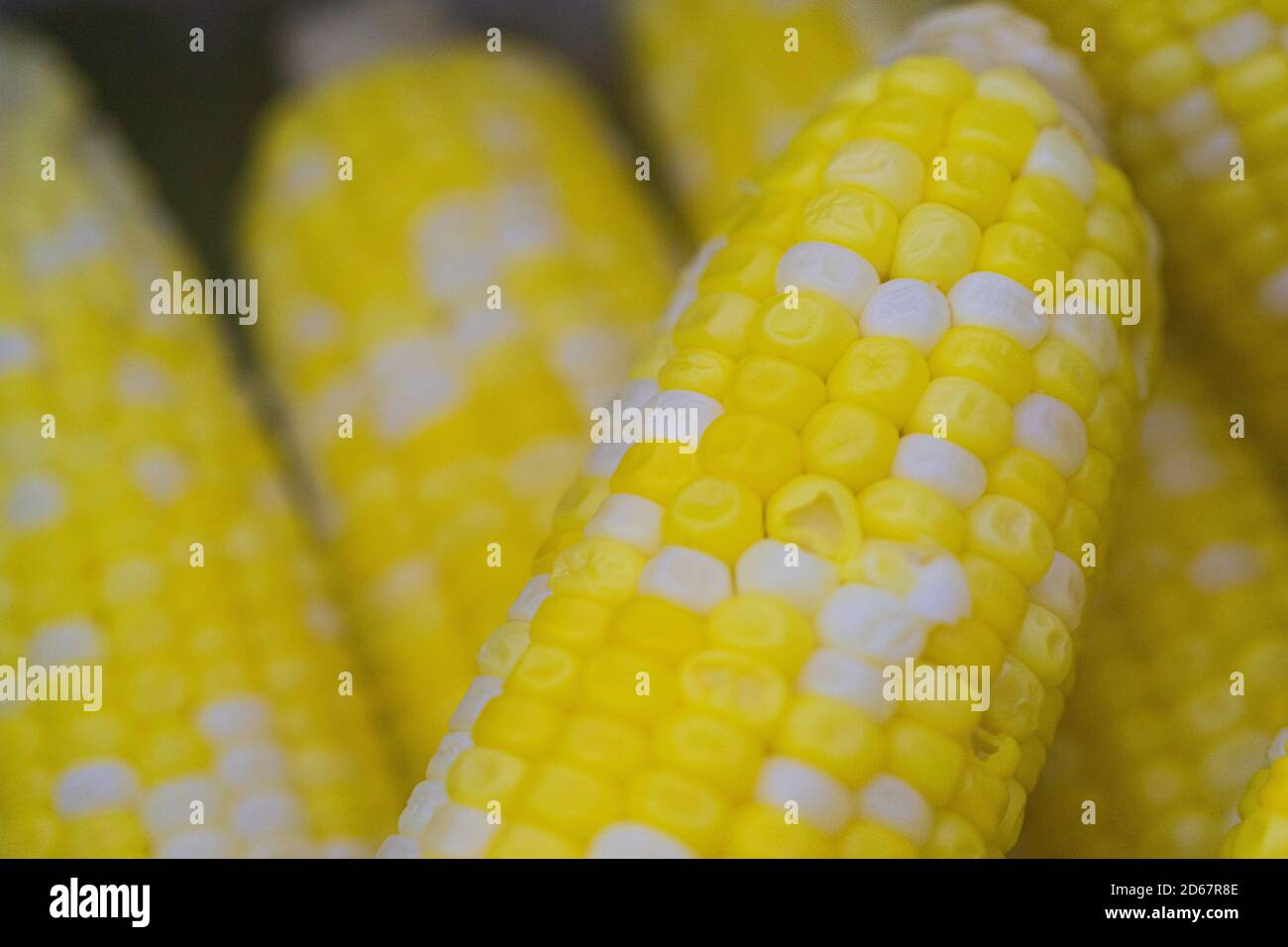 boiled corn on the cob served and ready to eat Stock Photo