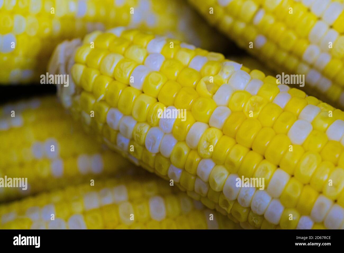 boiled corn on the cob served and ready to eat Stock Photo