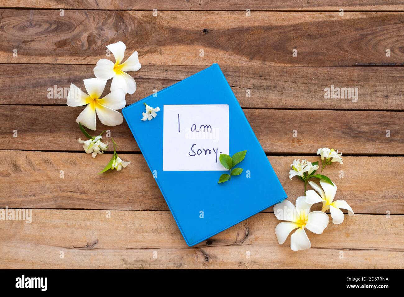 i am sorry message card handwriting on blue diary book with white flowers frangipani ,jasmine arrangement  flat lay style on background wooden Stock Photo