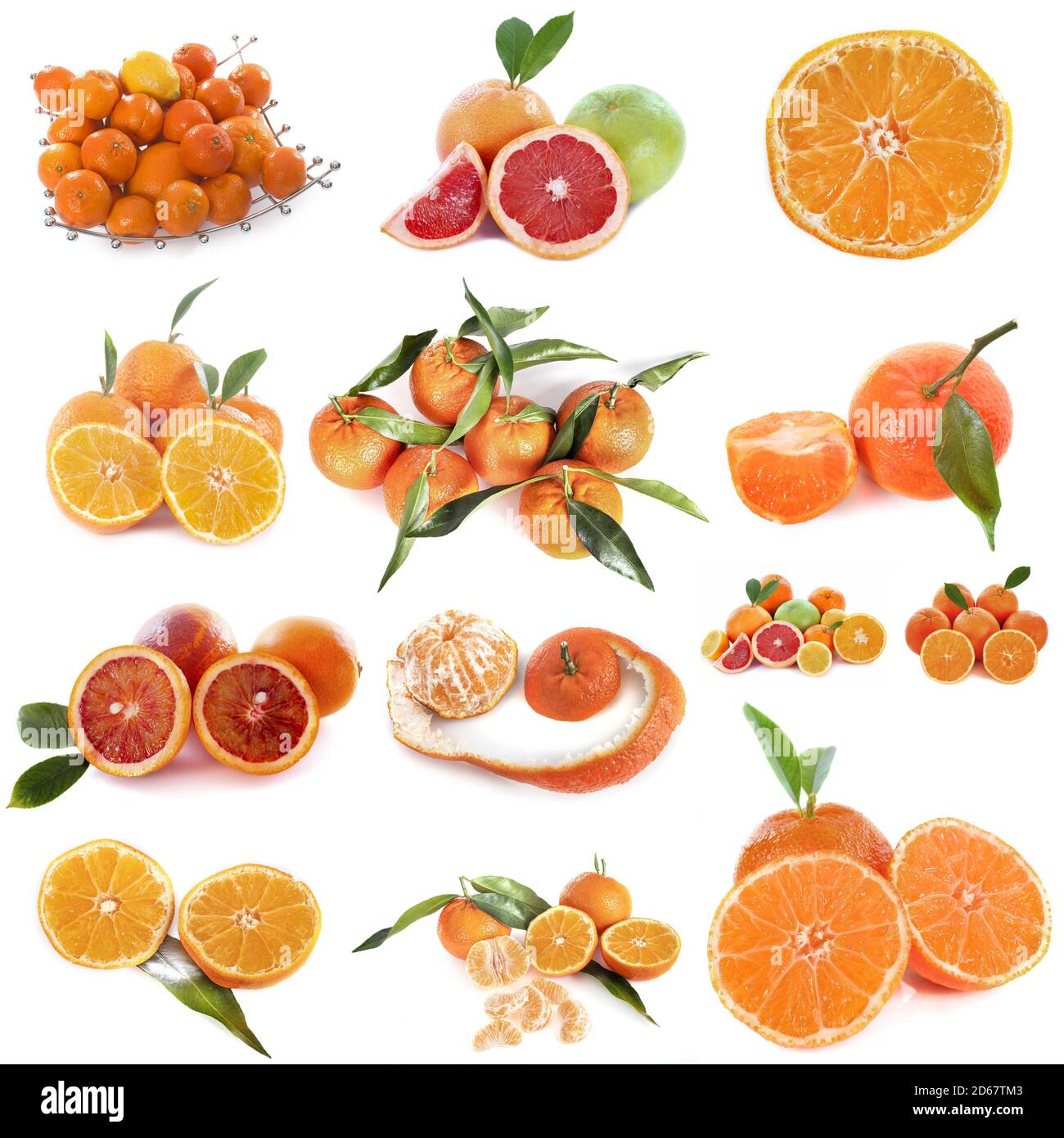 composite picture of citrus fruits in front of white background Stock