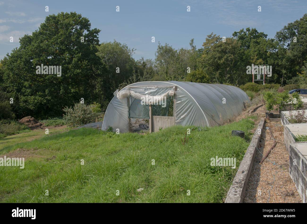 Polytunnel for Propagating Plants and Vegetables on an Allotment in a Vegetable Garden in Rural West Sussex, England, UK Stock Photo