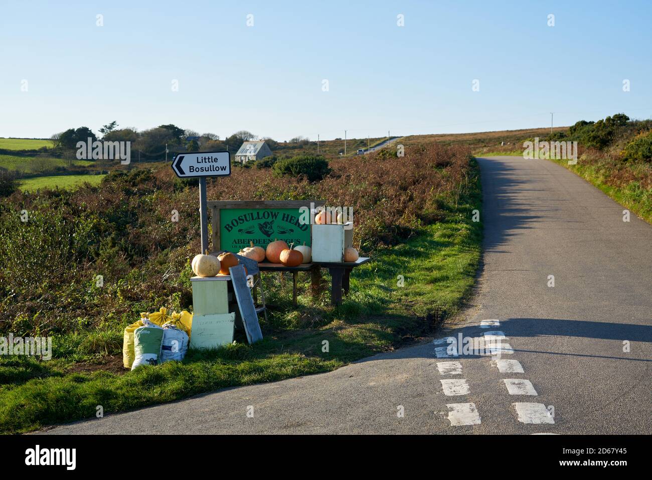 Farm roadside stall selling pumpkins , near Madron West Cornwall Stock Photo