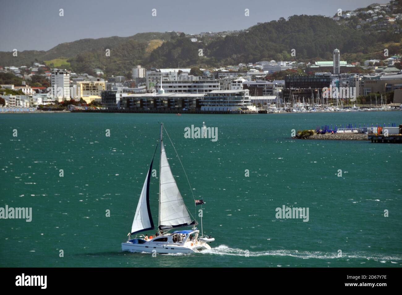 Sailboat at Wellington Harbor, Wellington, North Island, New Zealand