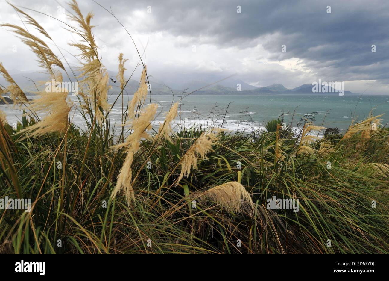 Scenic view from the Peninsula walkway, Kaikoura, South Island, New Zealand Stock Photo