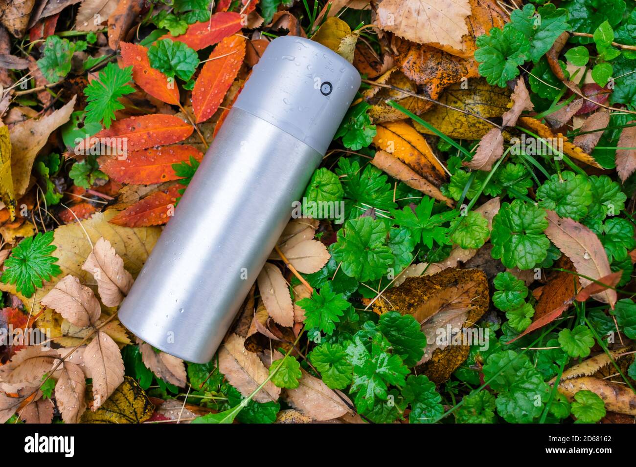 A can of deodorant or air freshener thrown out on the lawn in the autumn grass Stock Photo