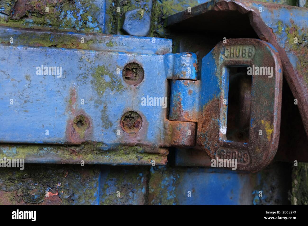 Rusting heavy weight hasp on blue painted security door. Stock Photo