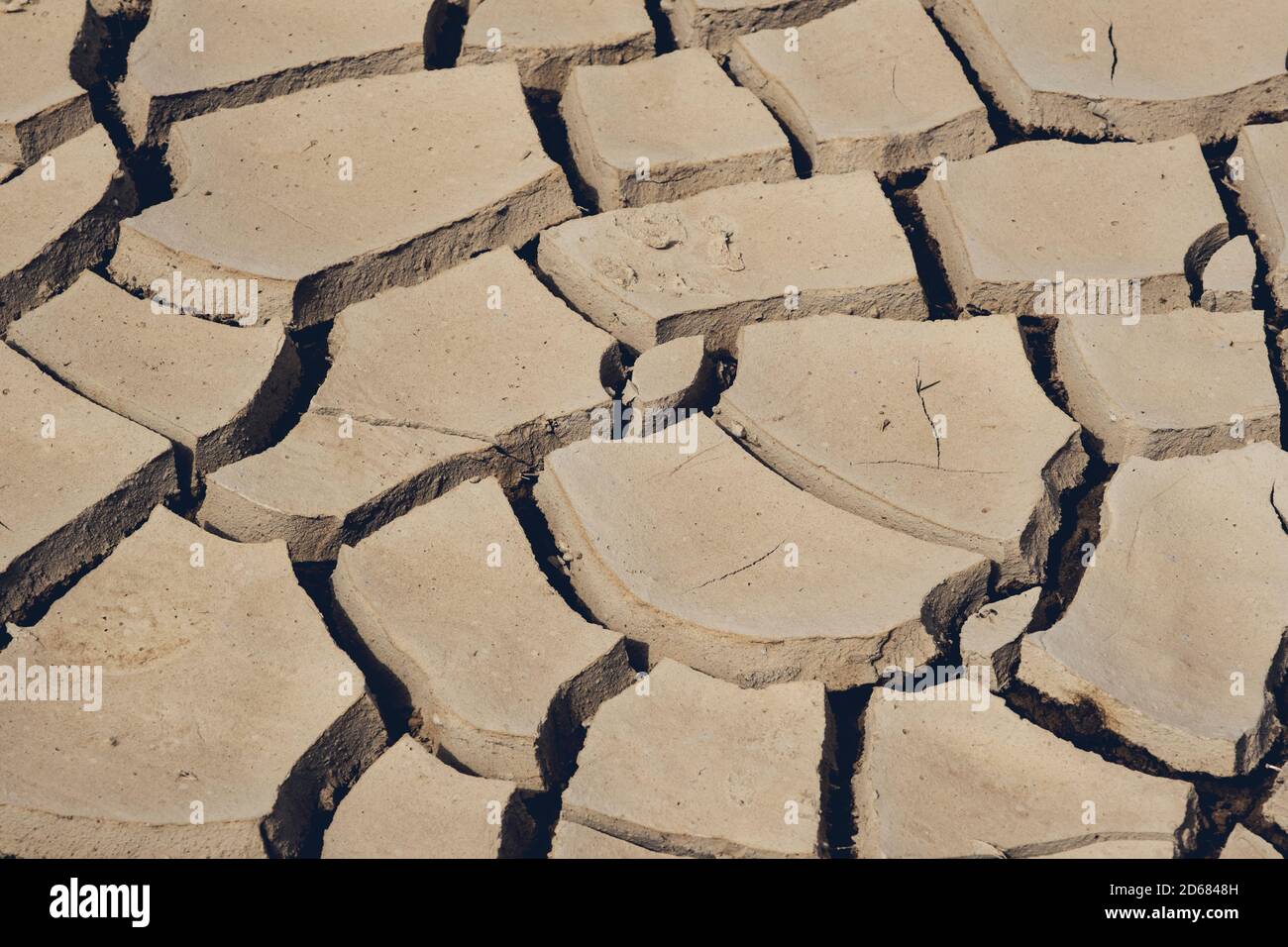 Cracked soil surface for background. Global warming concept Stock Photo