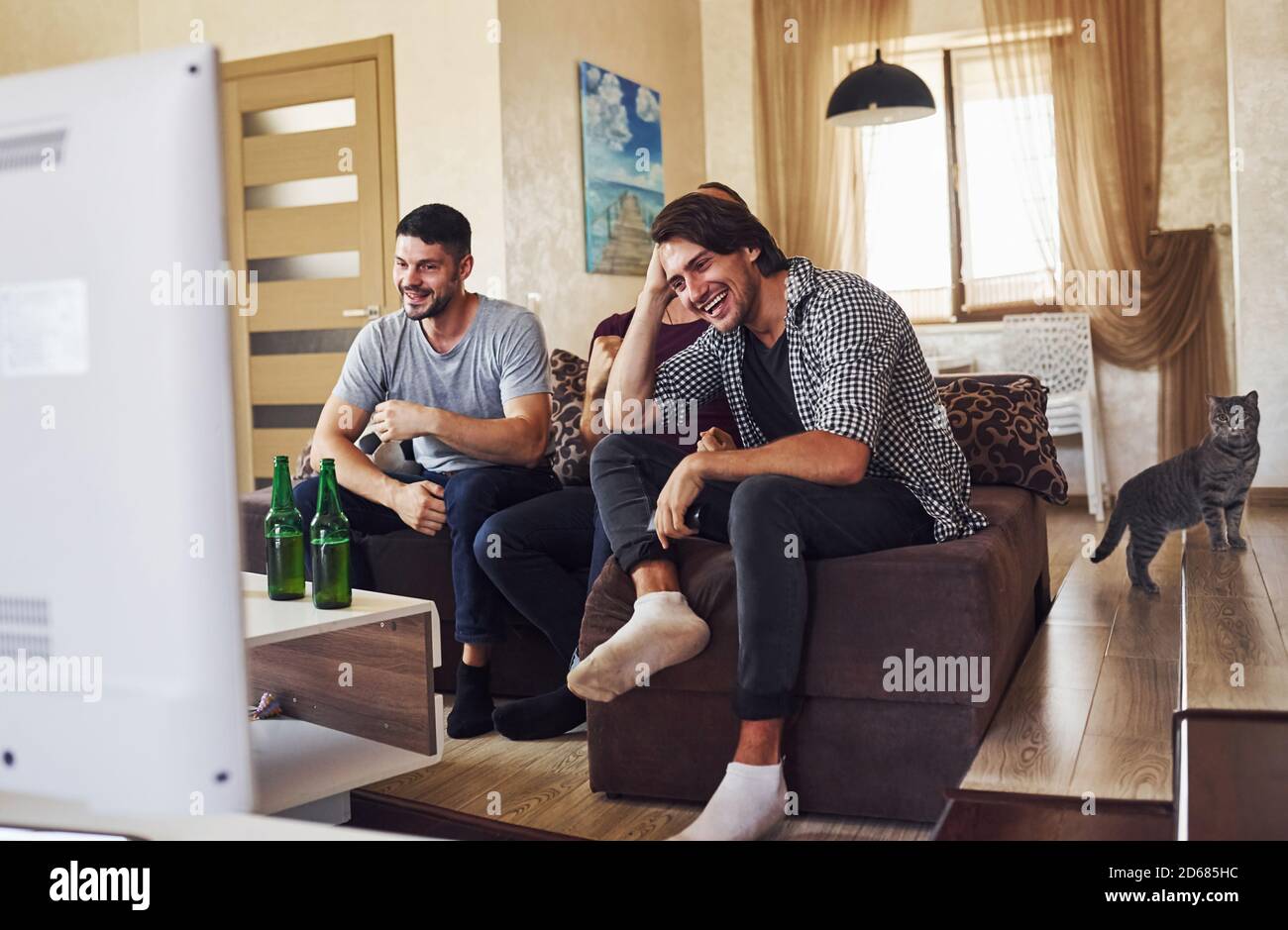 Cat on the stands and people laughing. Excited three friends watching soccer on TV at home together Stock Photo