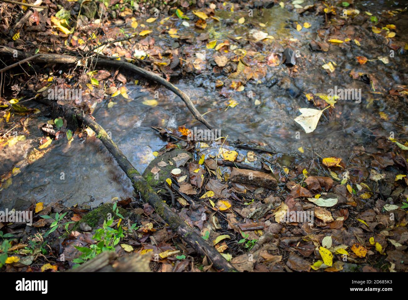 Stream flows through autumn hi-res stock photography and images - Alamy