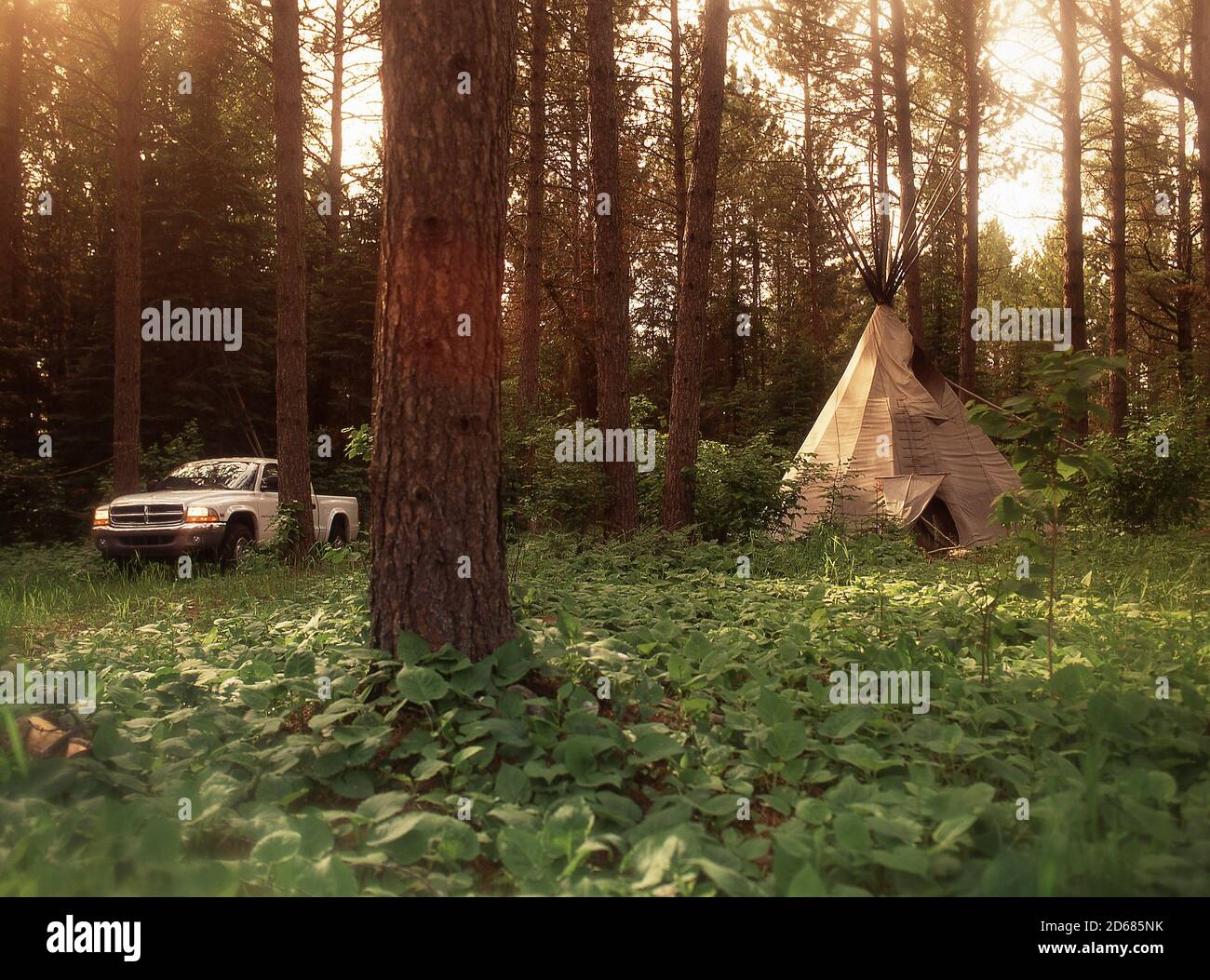 Dodge Dakota Pickup Truck in Minnesota USA 1999 Stock Photo
