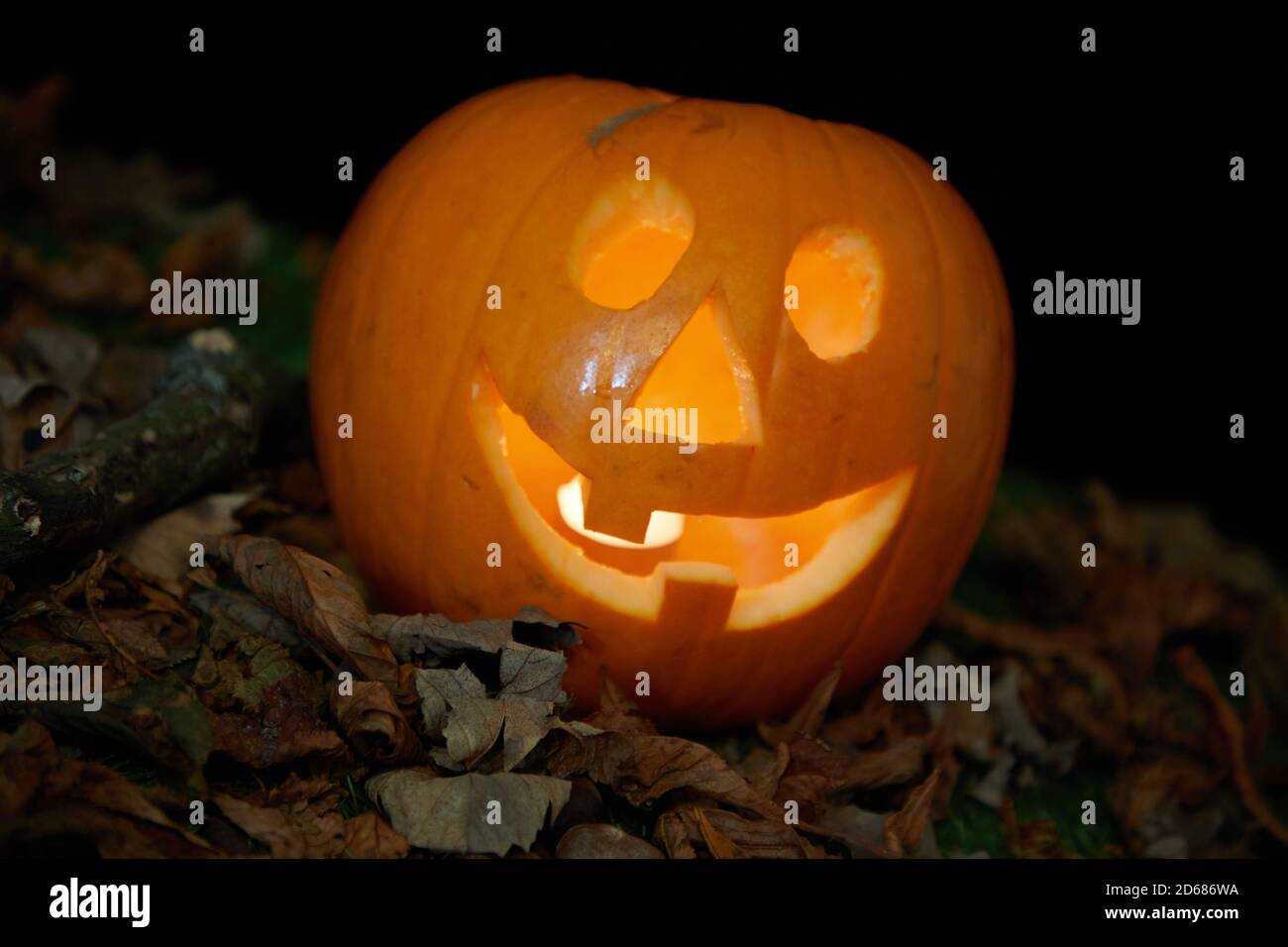 Halloween pumpkin against black background Stock Photo