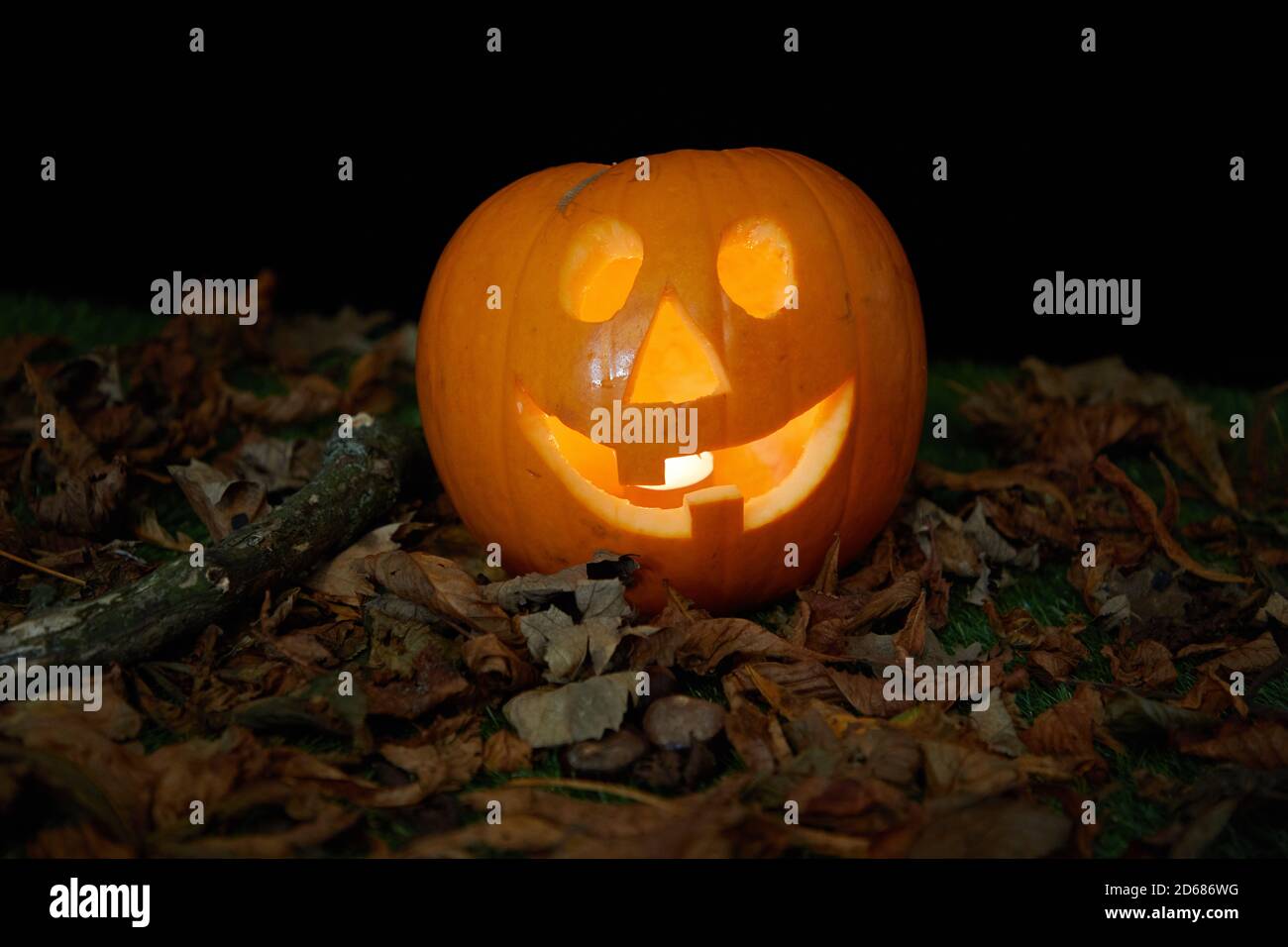 Halloween pumpkin against black background Stock Photo - Alamy