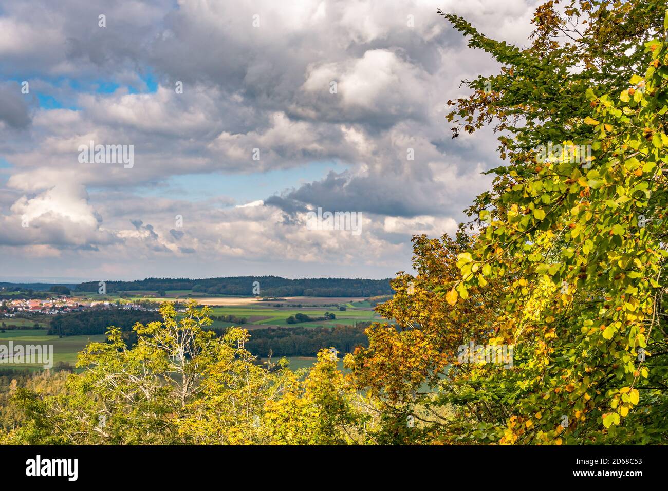 beautiful autumn hike in the colorful forest near wilhelmsdorf near ravensburg in upper swabia germany Stock Photo